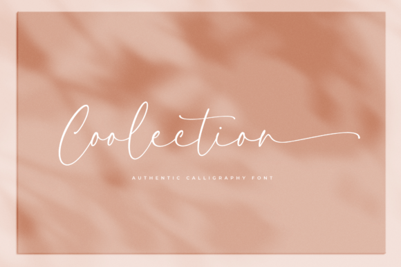 Coolection Font: A Script Amp That Elevates Real Small Business Branding