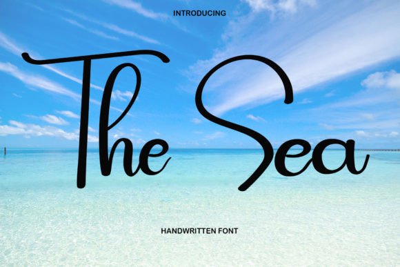 The Sea: A Script Amp Font That Breathes